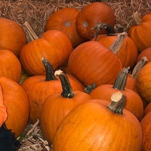 Meet your Posher, Lupe